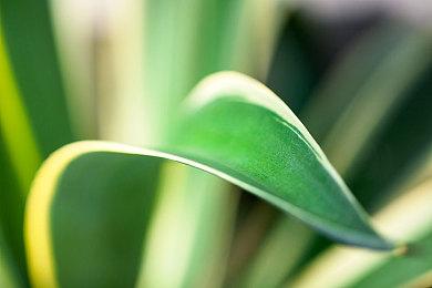 Steam 2021年桌游节 百款RPG游戏折扣21日开启 